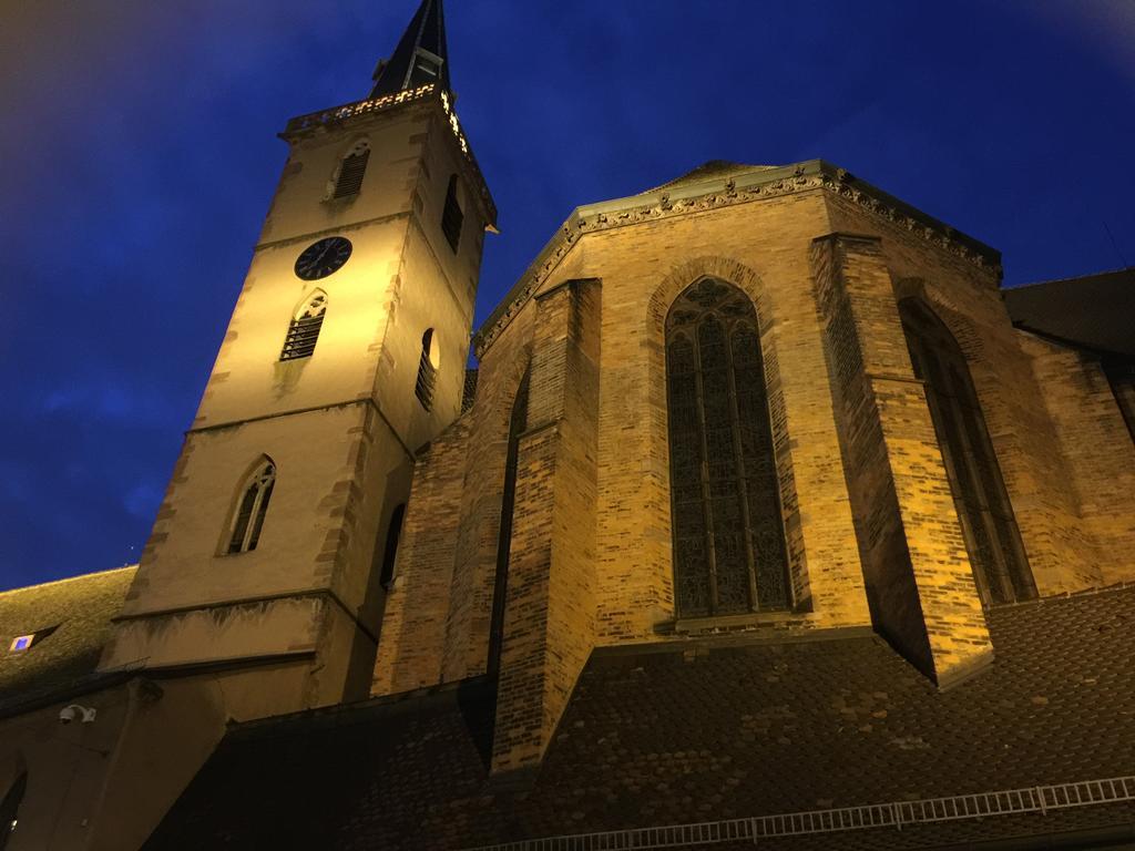 斯特拉斯堡La Cour Des Cordonniers, Centre Cathedrale Petite France公寓 外观 照片