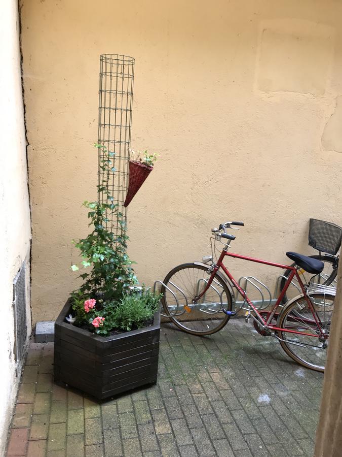 斯特拉斯堡La Cour Des Cordonniers, Centre Cathedrale Petite France公寓 外观 照片